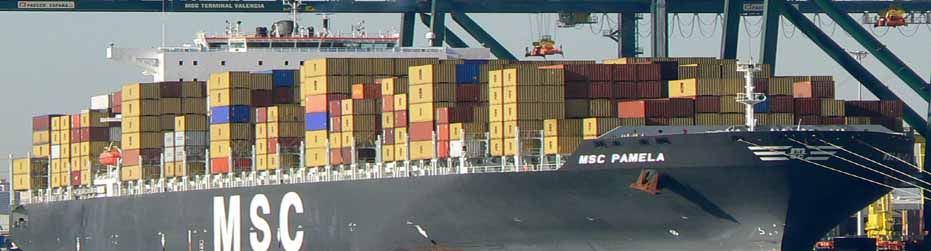 Bangladesh Cargo Services (BCS)
